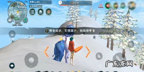 创造与魔法独角兽吃多少饲料 创造与魔法独角兽饲料保底多少包2022