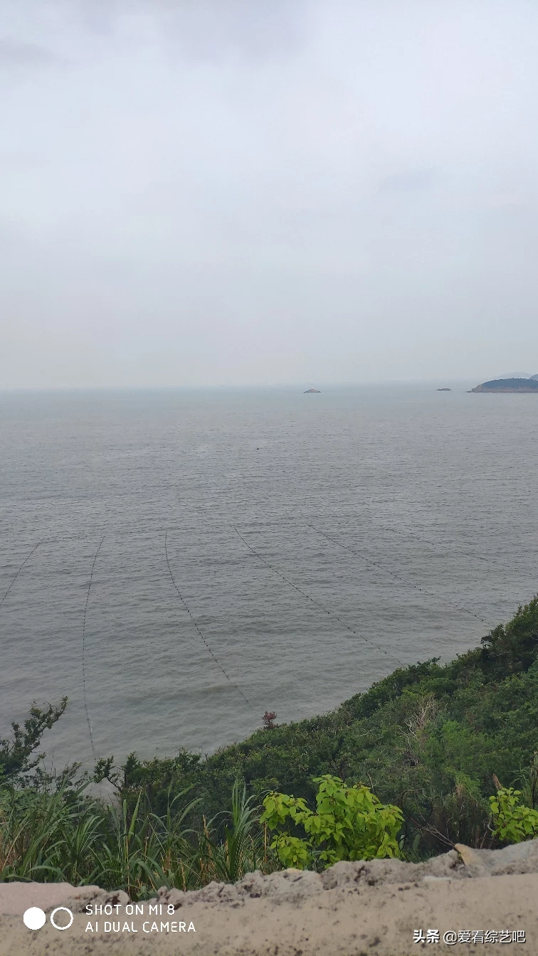 从电影中你能学到什么？