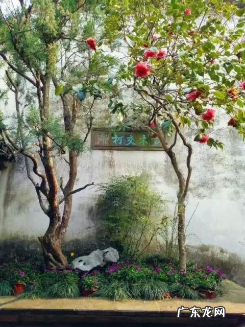 广东四大名园是哪四个 中国四大园林介绍