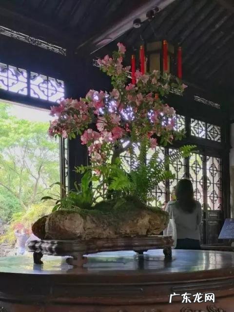 广东四大名园是哪四个 中国四大园林介绍