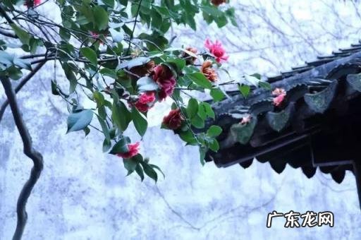 广东四大名园是哪四个 中国四大园林介绍