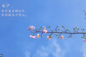 安陵君其许寡人的其什么意思翻译 文言文重点虚词归纳