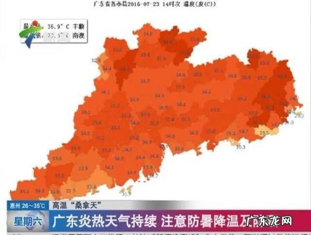 夏季清凉养生食谱 夏季养生食谱大全