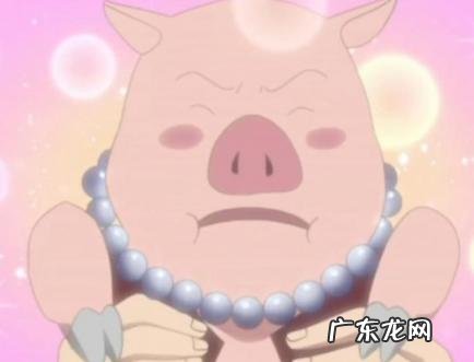 95年属猪找对象方位 95年属猪找对象方位2021