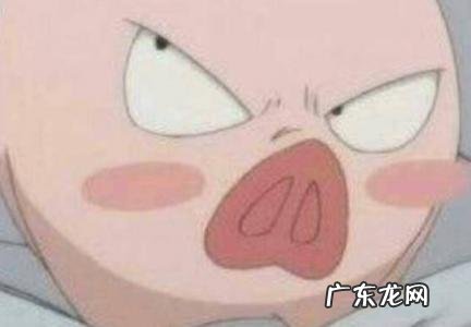 95年属猪找对象方位 95年属猪找对象方位2021