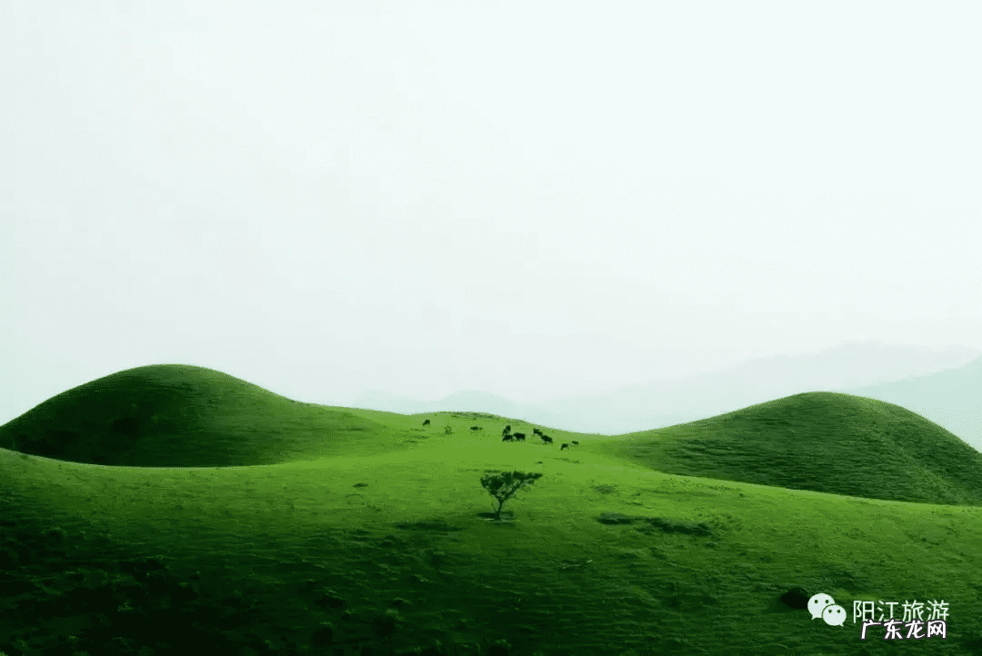 阳春到河朗的士 阳春河朗四大风水祖山