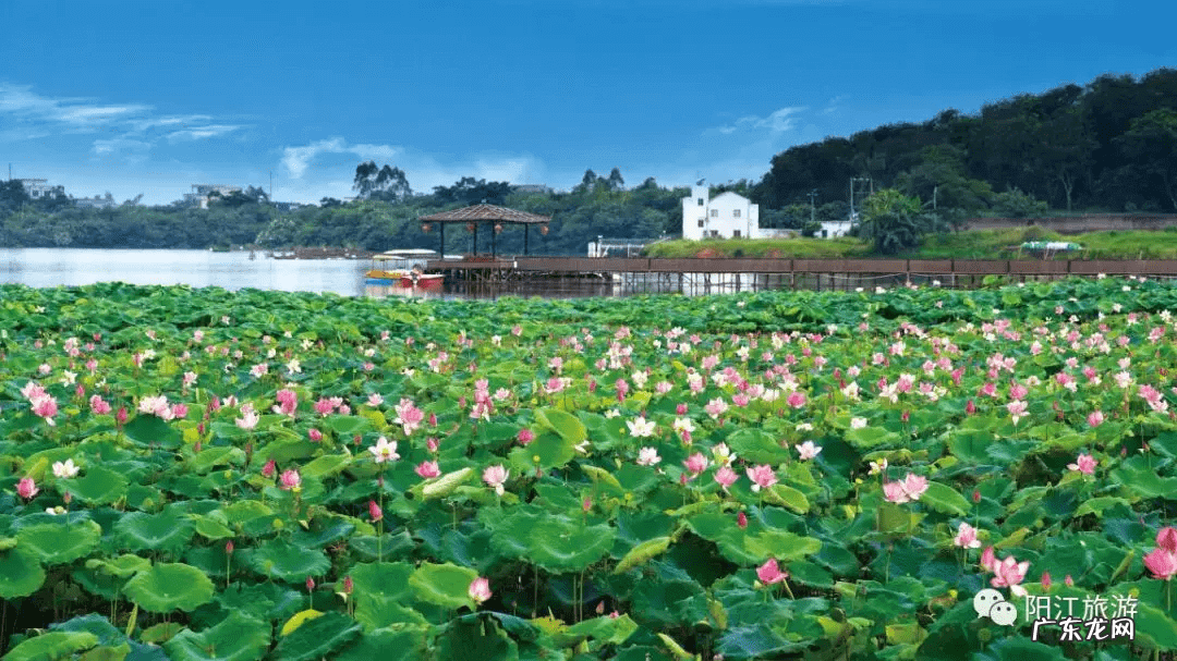 阳春到河朗的士 阳春河朗四大风水祖山