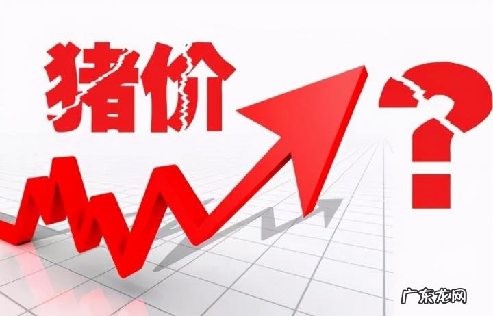 猪价下行拐点已至 新闻 经济日报:猪价尚未出现向上拐点吵一