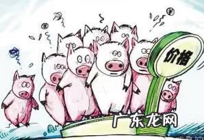 猪价下行拐点已至 新闻 经济日报:猪价尚未出现向上拐点吵一