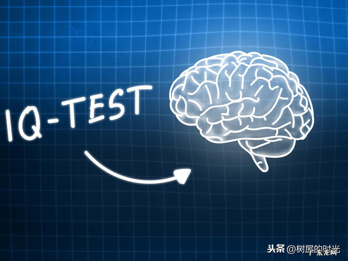 给小孩测智商是怎么测的啊 孩子智商怎么测出来的