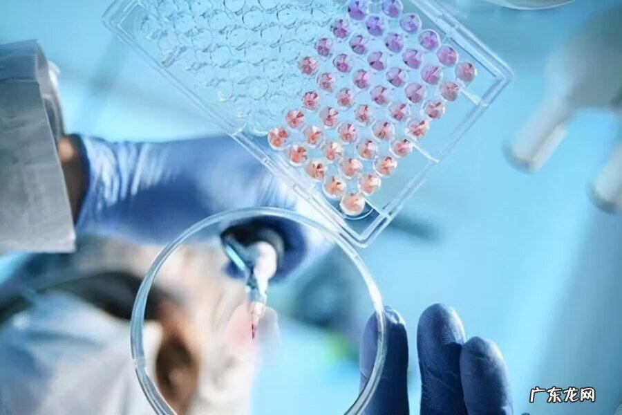 新型肺炎被感染前兆 新型肺炎最开始的征兆发热会一直持续吗