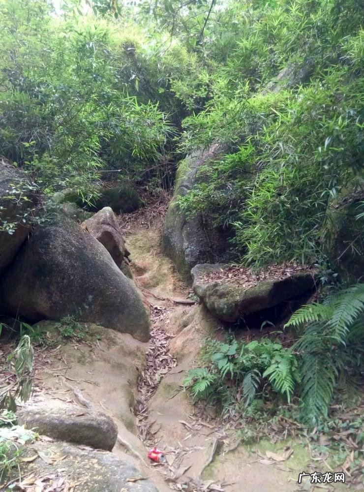 深圳凤凰山攻略路线图 深圳凤凰山旅游路线