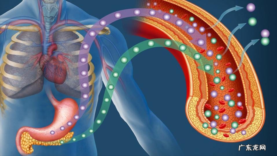 替米沙坦片的作用与功效副作用 替米沙坦片功效作用适应症及禁忌