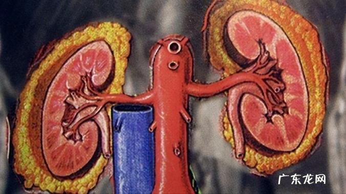 替米沙坦片的作用与功效副作用 替米沙坦片功效作用适应症及禁忌