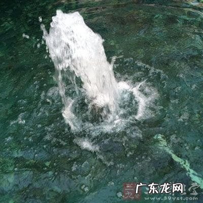 好的风水墓地 墓里有白蚂蚁好不好?