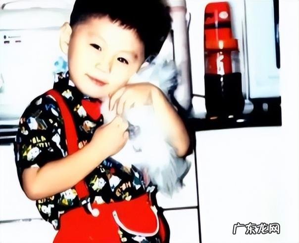 武艺个人资料简介百度百科 武艺是哪里的