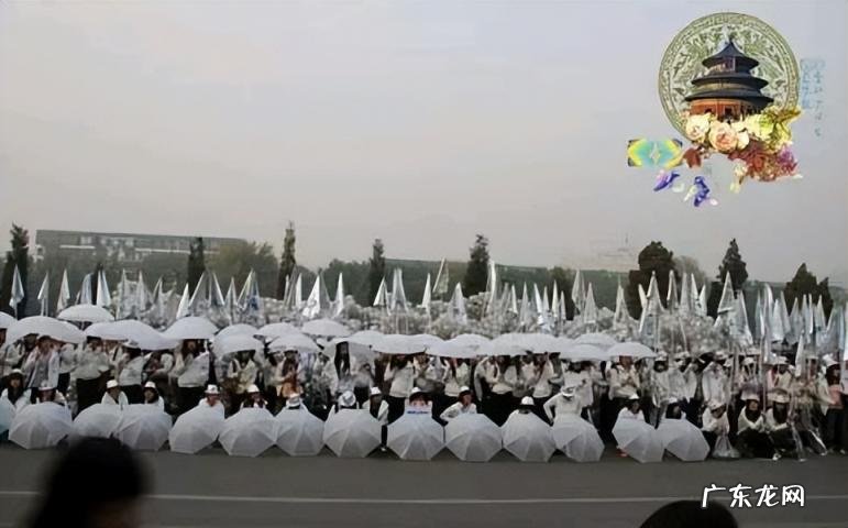 武艺个人资料简介百度百科 武艺是哪里的