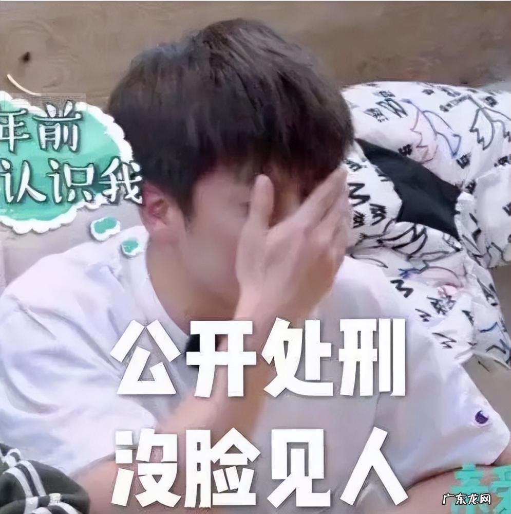 武艺个人资料简介百度百科 武艺是哪里的