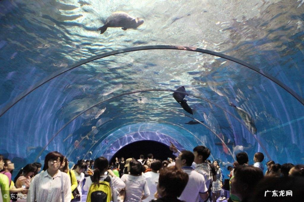 青岛旅游景点介绍大全 青岛的免费旅游景点