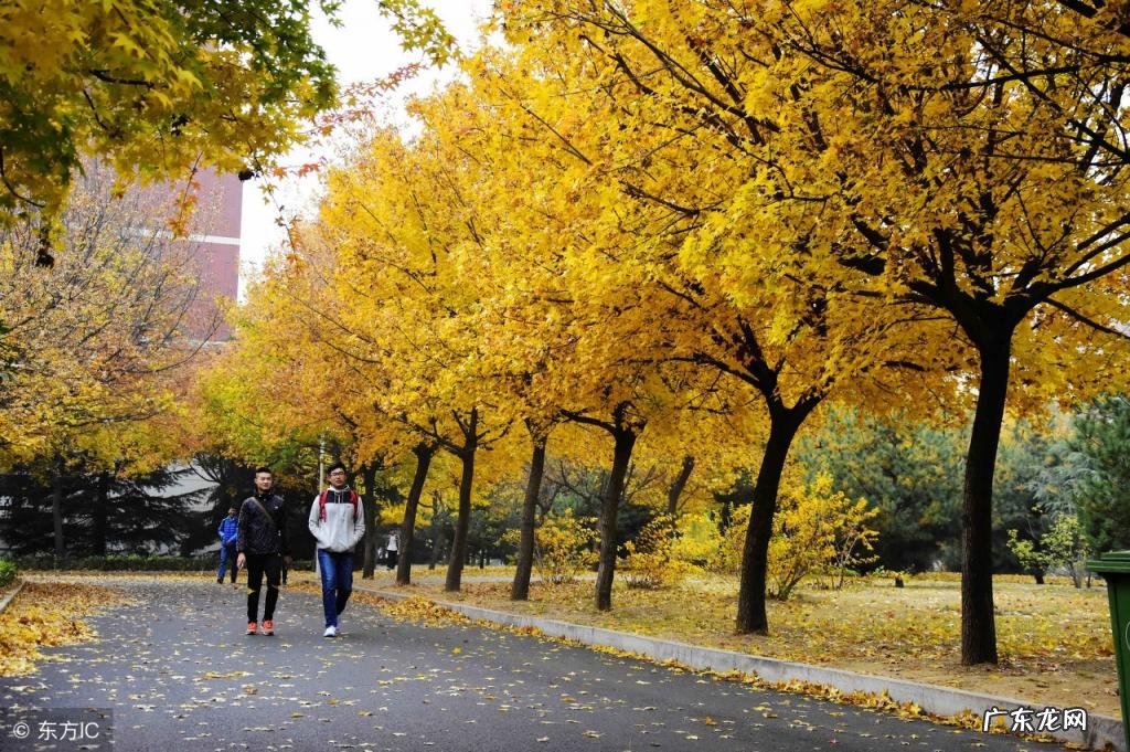 青岛旅游景点介绍大全 青岛的免费旅游景点