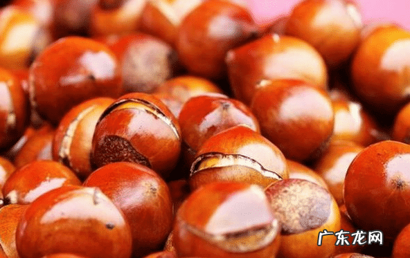 羊肉不可以跟什么同食 羊肉不能与什么食物同时食用不