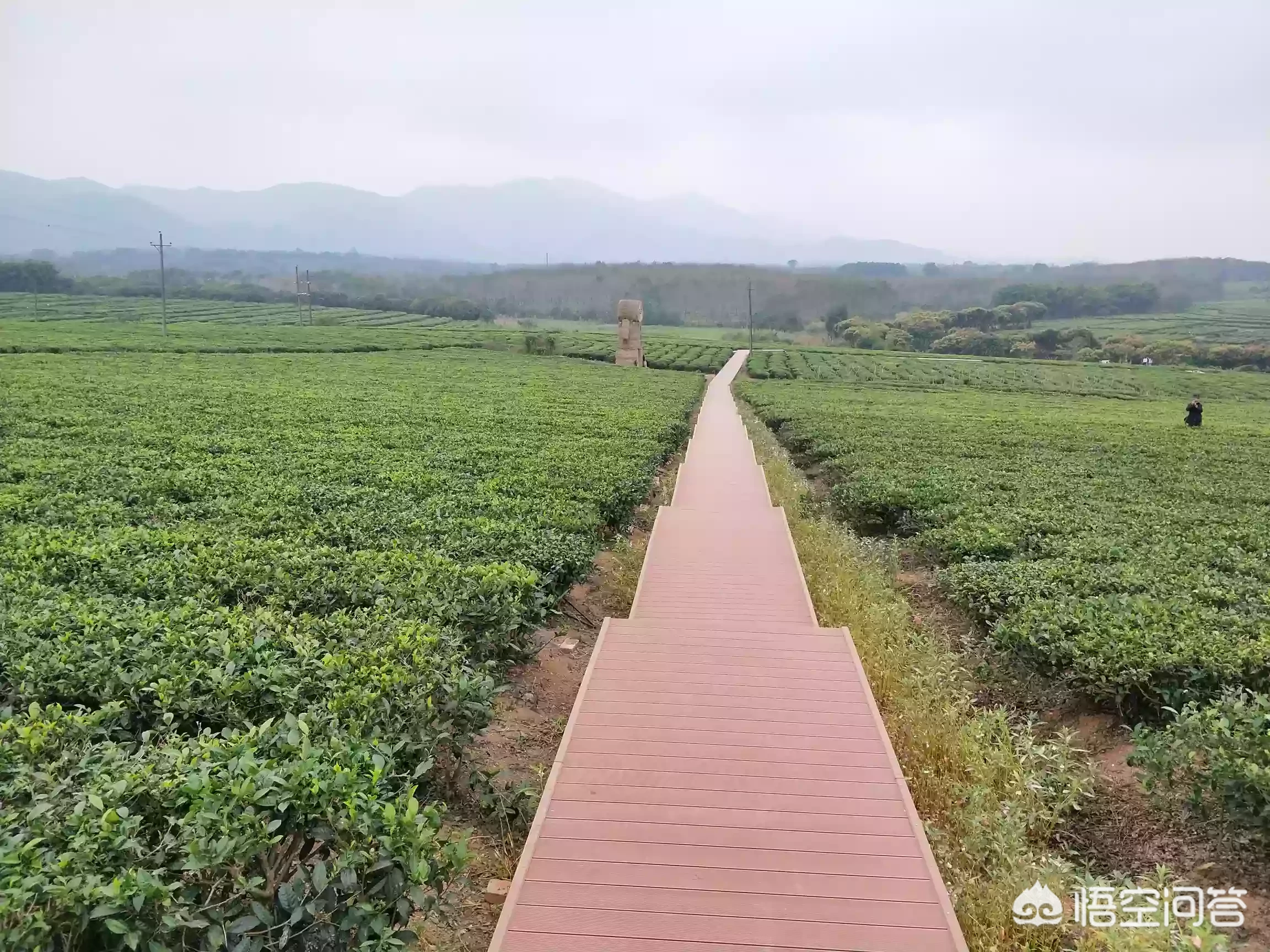 外村人在两村边界上建了房子,占用了我村的地方,该如何解决?