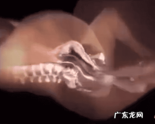 孕妇产孩子全过程图片 孕妇自然分娩全过程组图