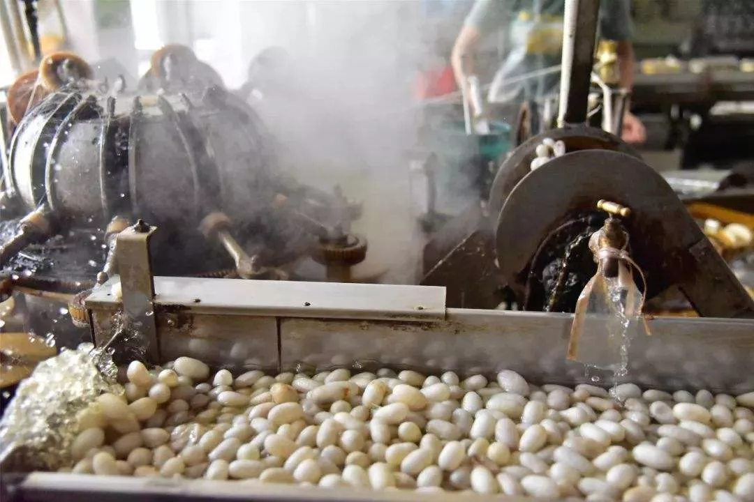 在农村做养殖生意或做点什么其他生意可以致富?