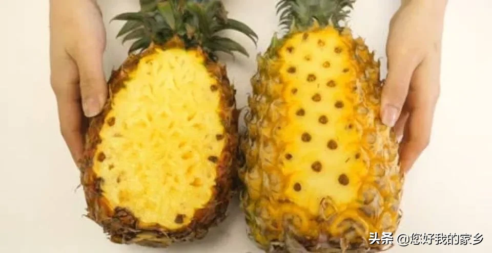 凤梨和菠萝有区别吗,为什么感觉长得一样却叫两个名字?