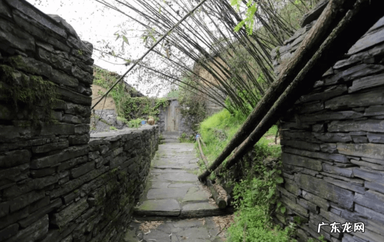 仄怎么读什么意思