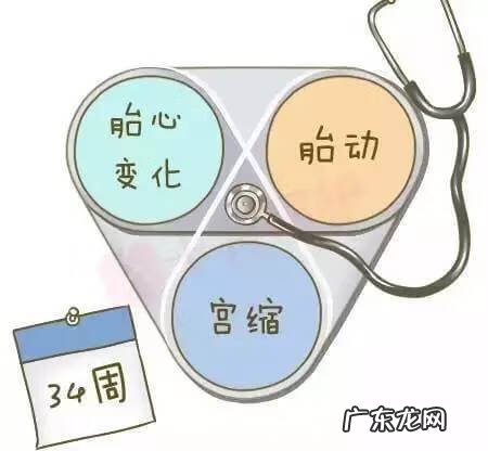 胎心率多少算正常范围值 胎心率多少正常范围