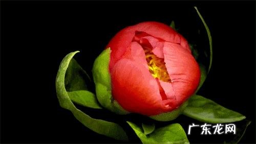 你们有过心累,心痛吗?