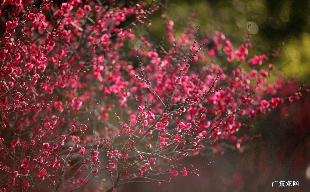 奉贤区最好的医院 奉贤区风水好祈福位在哪里