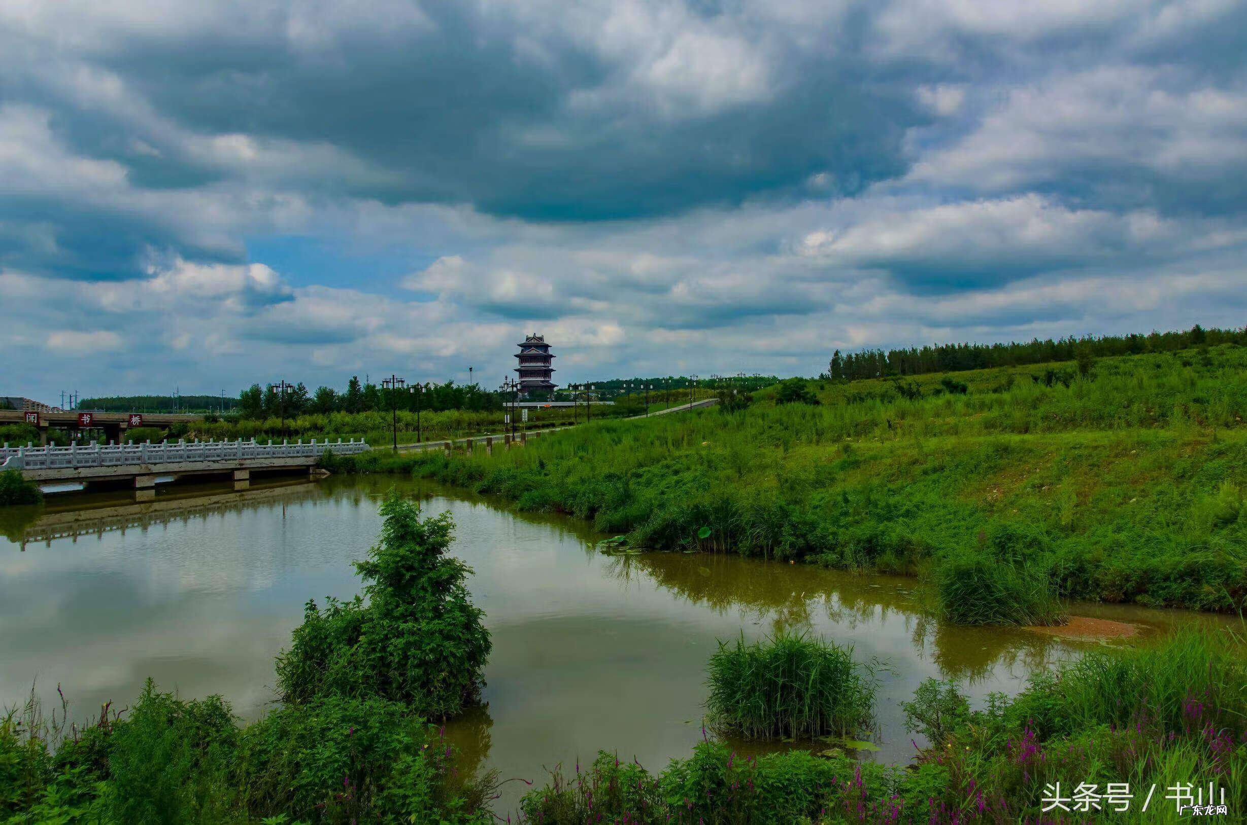 看到白鹤的兆头 风水宝地之白鹤地
