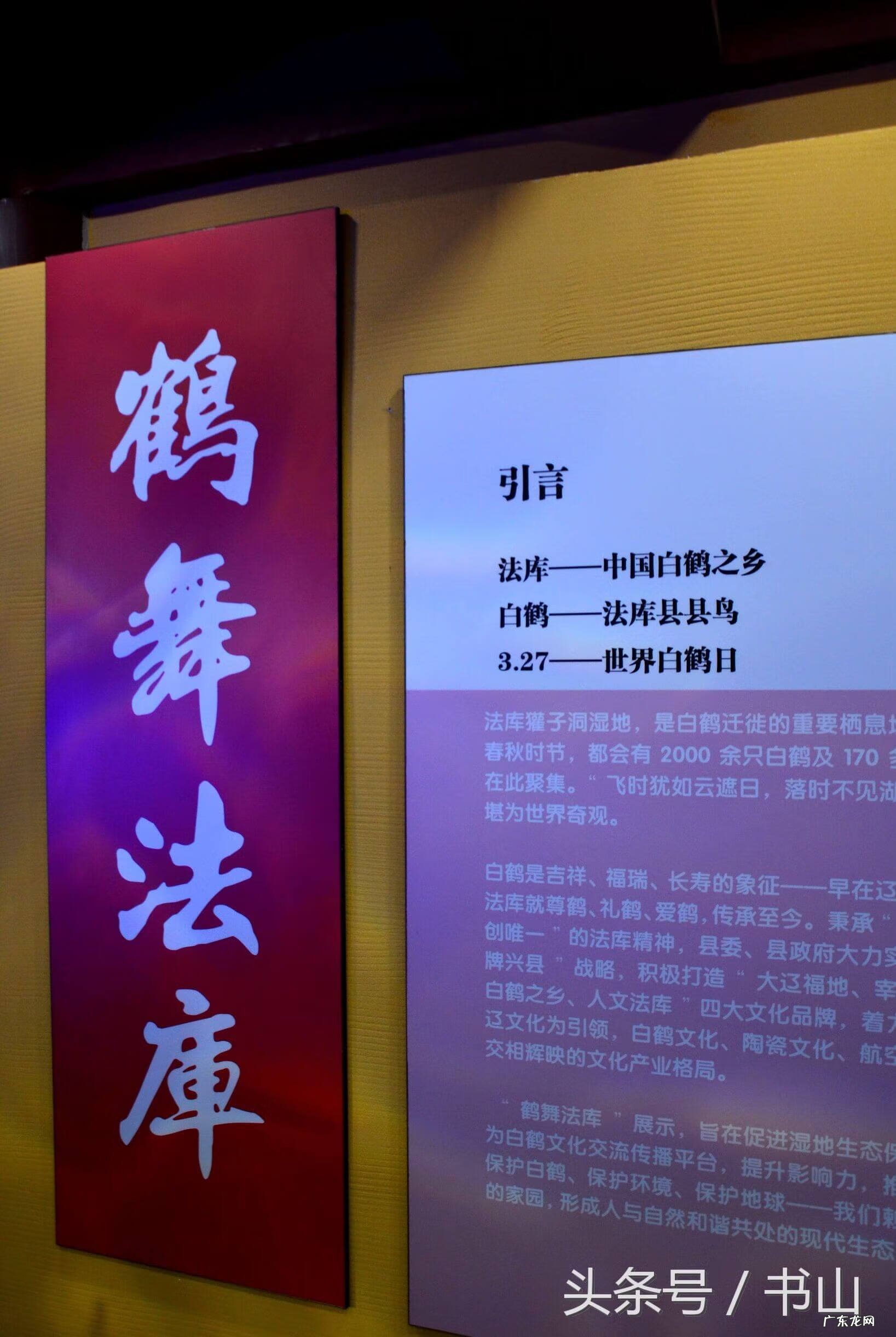 看到白鹤的兆头 风水宝地之白鹤地