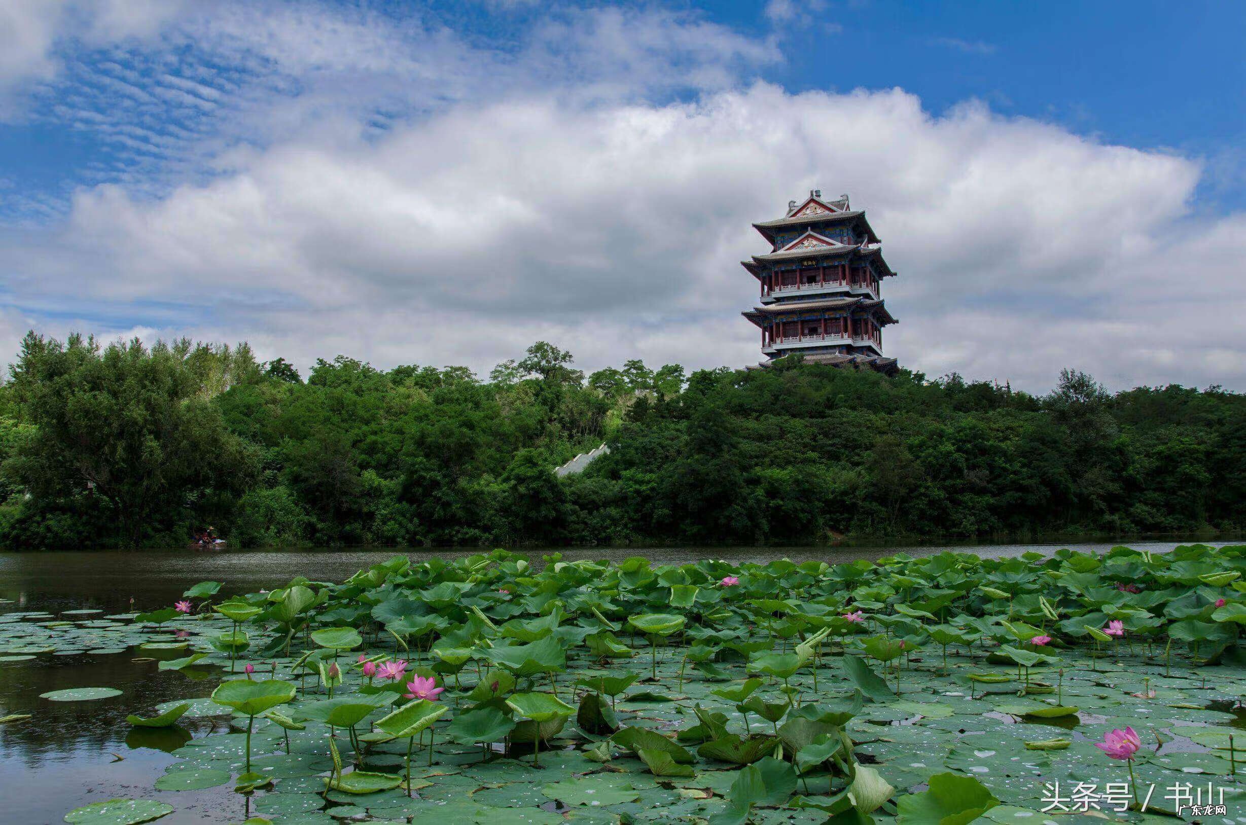 看到白鹤的兆头 风水宝地之白鹤地