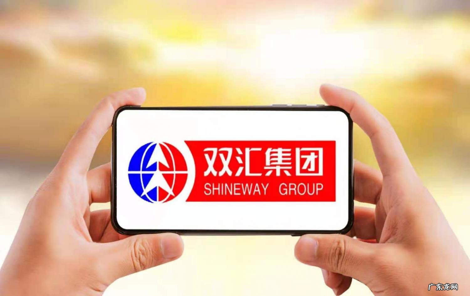 双汇沈瑞芳长什么样?双汇沈瑞芳个人资料简历 双汇沈瑞芳