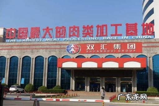 双汇沈瑞芳长什么样?双汇沈瑞芳个人资料简历 双汇沈瑞芳