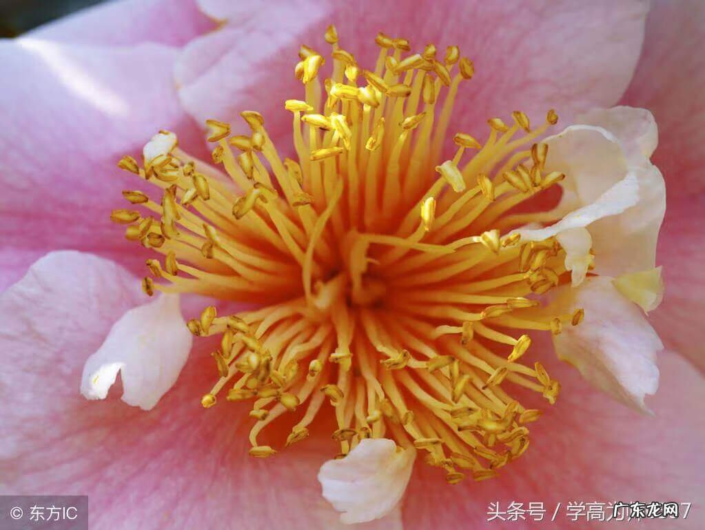 神来之笔的含义 神来之笔什么意思