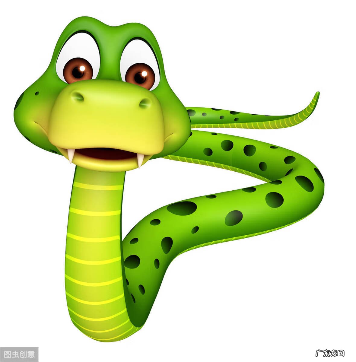 必死 蛇出海必死?风水