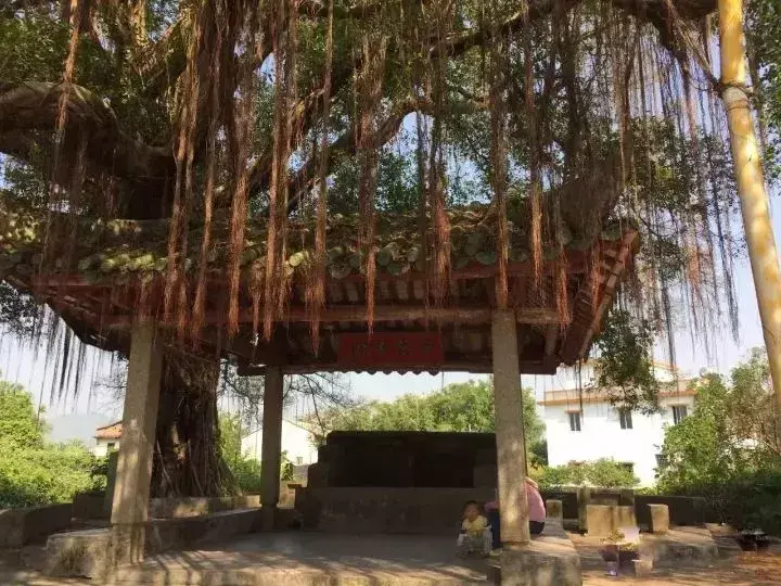 龙颈位置的风水