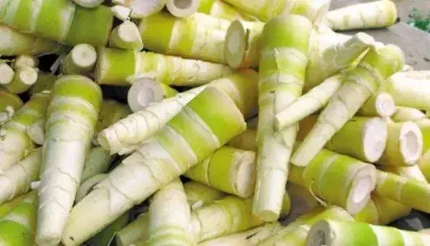 龙颈位置的风水