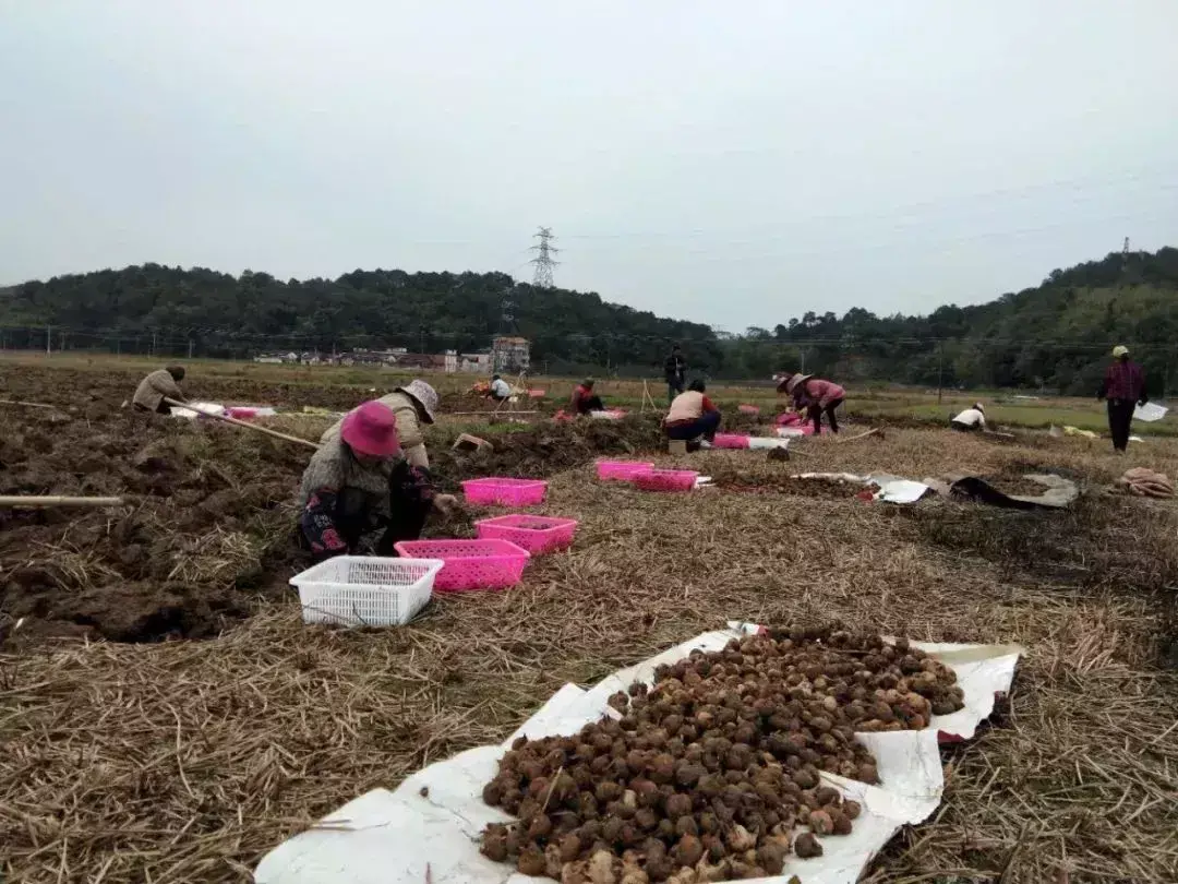 龙颈位置的风水