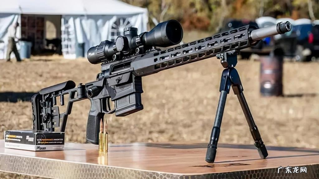 狙击枪排名前十 世界十大狙击枪排名图片