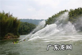 鱼贯而出造句子 鱼贯而出的意思解释词语