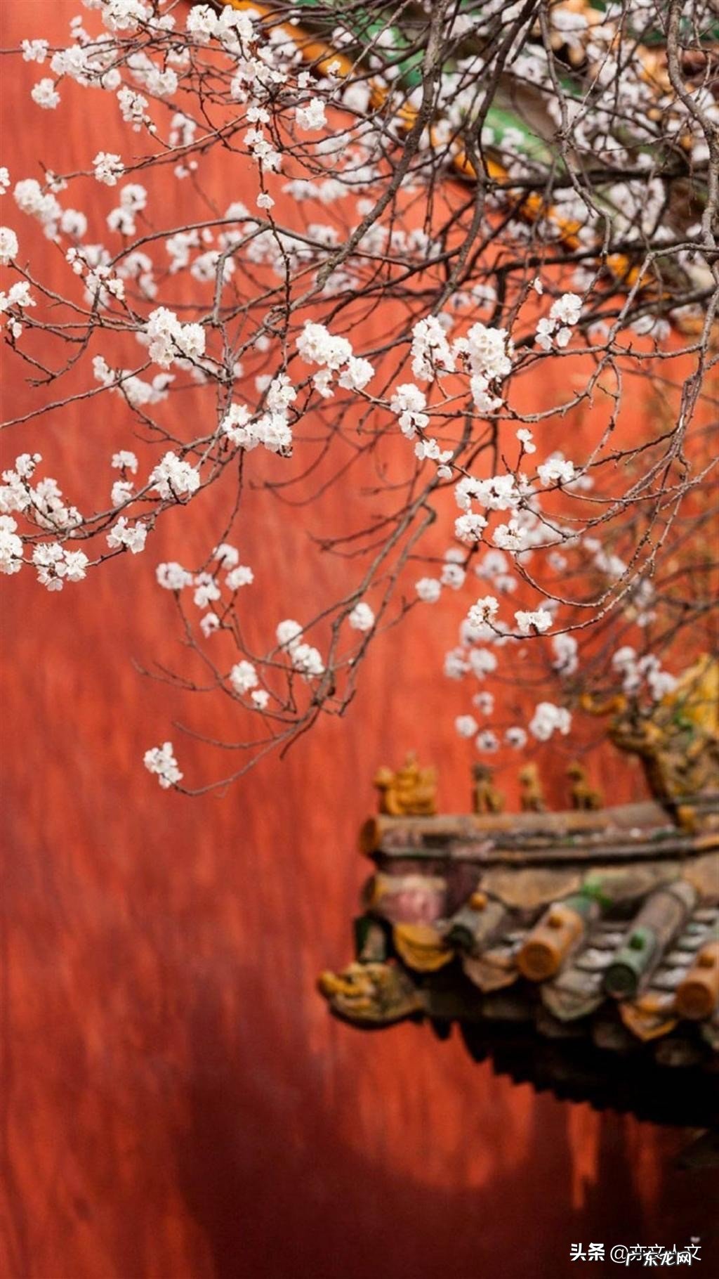 南阳韩翃，因一首诗而名扬千古，飞黄腾达，他的《寒食》到底有什么魅力？