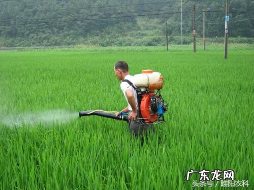 十大杀虫剂品牌 农药杀虫剂品牌