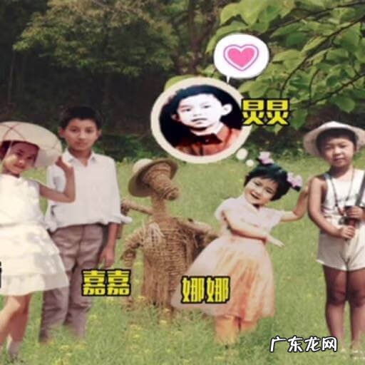 谢娜最新消息怀孕 谢娜真的怀孕了