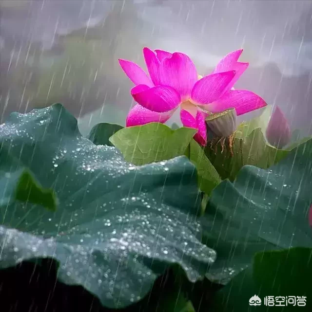 为什么有些人喜欢看浪漫的爱情故事，在生活中却活得很现实？