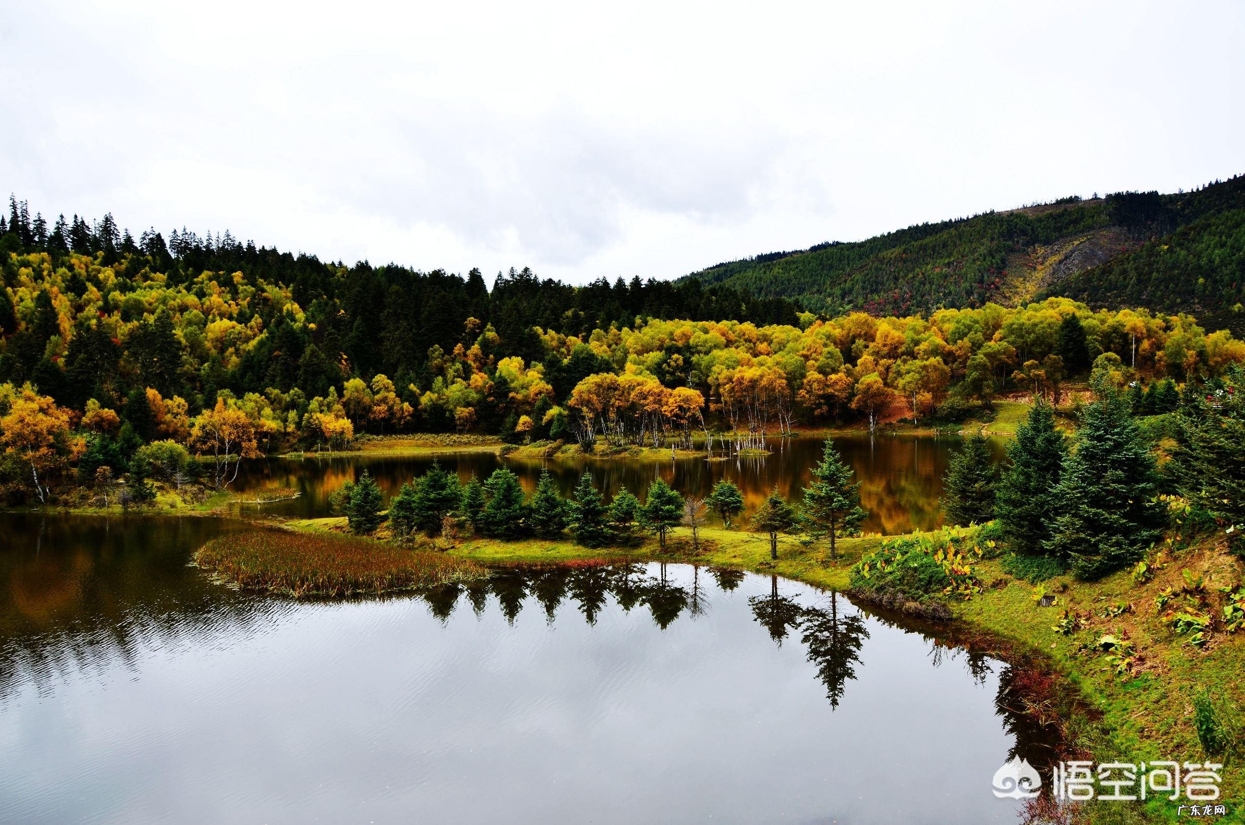 在你旅游去过的省份中,按照自然风景这个指标排个序,前五名是哪几个省份?